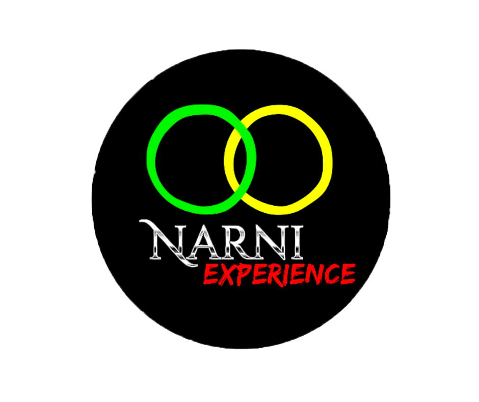 logo dell'Associazione Narni Experience organizzatrice del Tour-Game